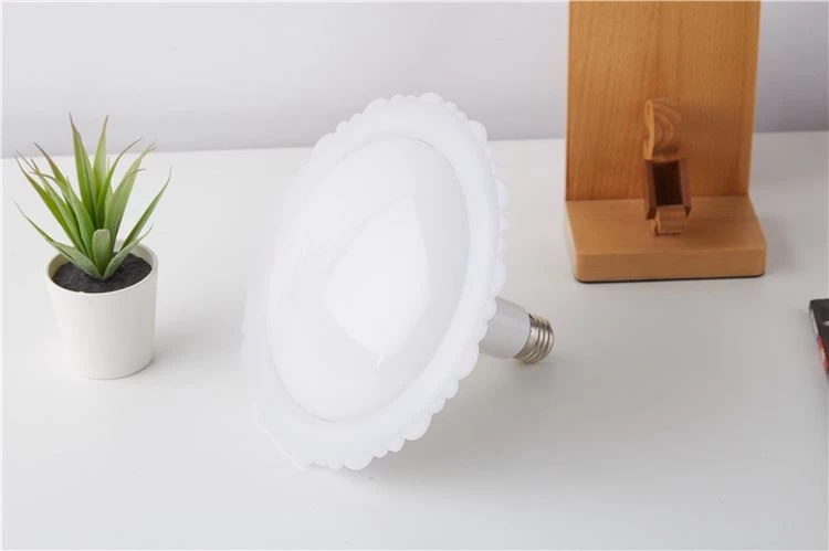 Raw Material LED Die-casting Lamp