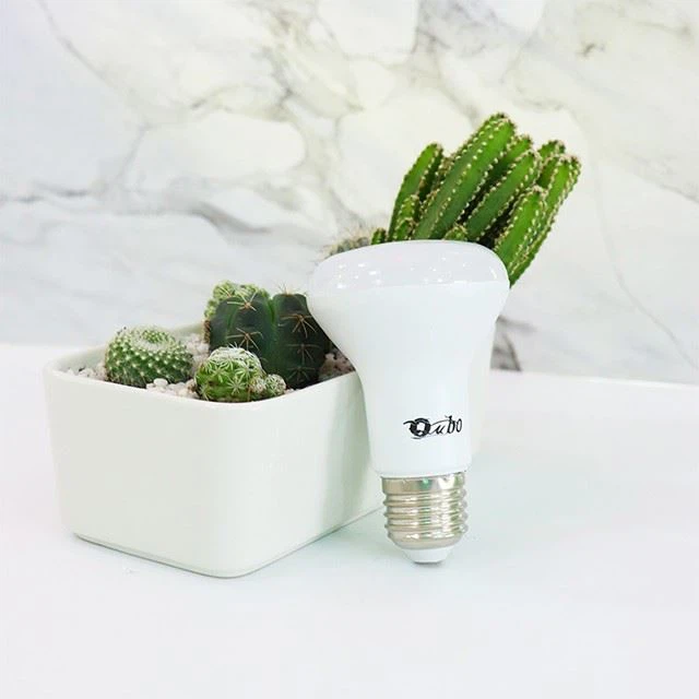 E14 5W LED Refletor Bulb