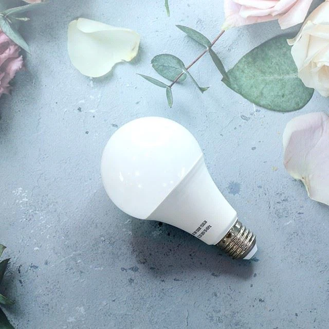 LED Direct Sale Price Bulbs