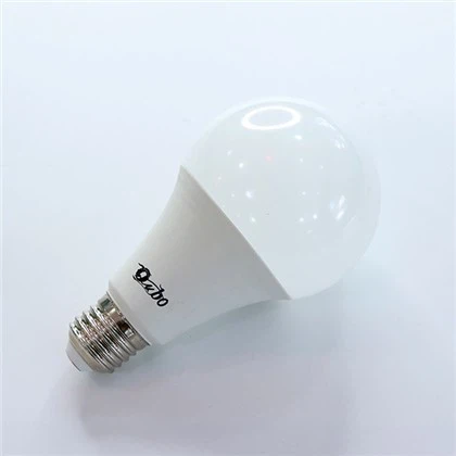 LED A Bulb 110V/220V