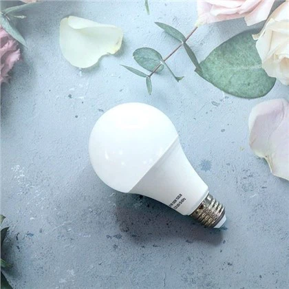 LED Direct Sale Price Bulbs