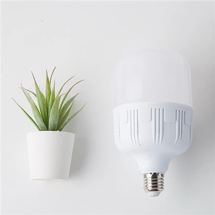 T160 Customized Large Led T Bulb