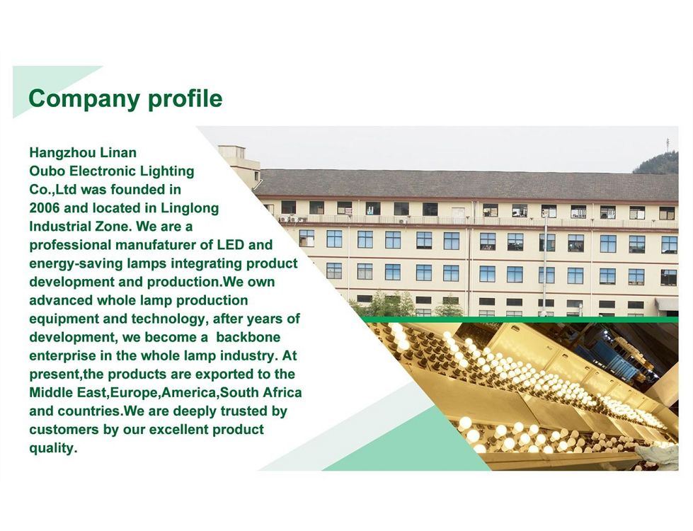 Hangzhou Lin'an Oubo Electronic Lighting Co., Ltd